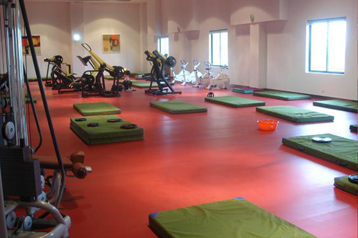 Stilex Flooring India Sports